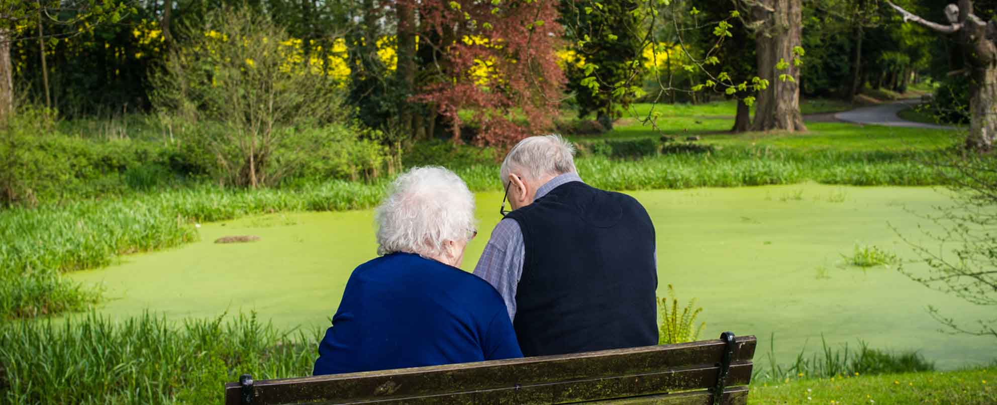 An elderly couple sitting on a bench, facing a pond covered with green algae.