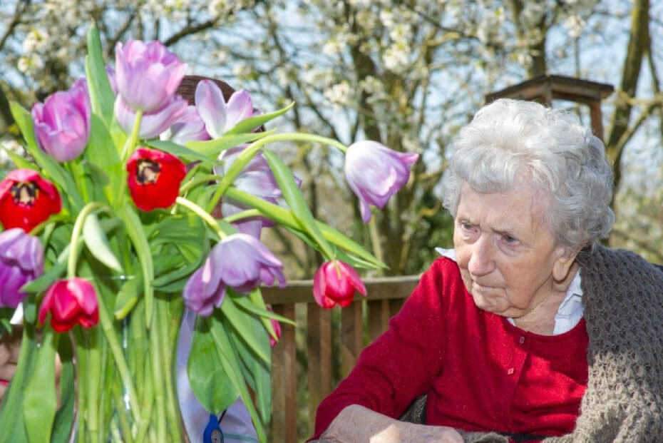 An elderly lady admires a vase of vibrant tulips outdoors