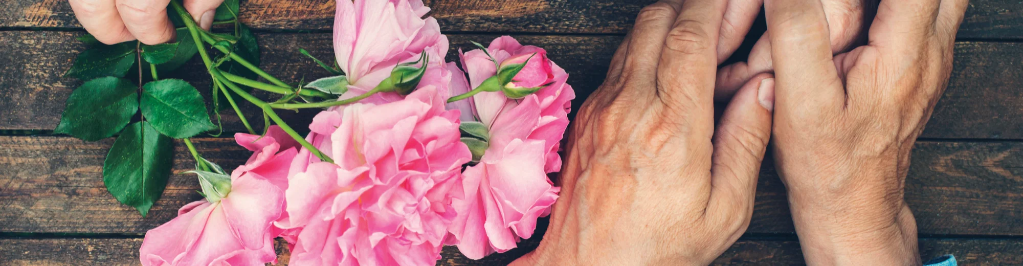 Pink roses resting on a wooden table beside the clasped hands of two older people