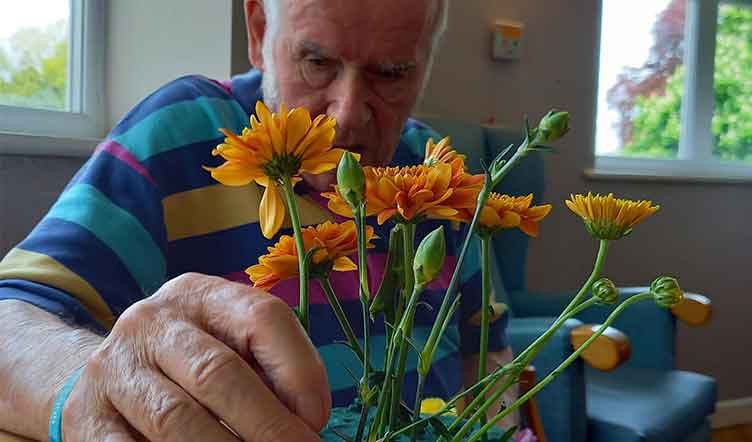 Elderly man holds and arranges orange flowers 