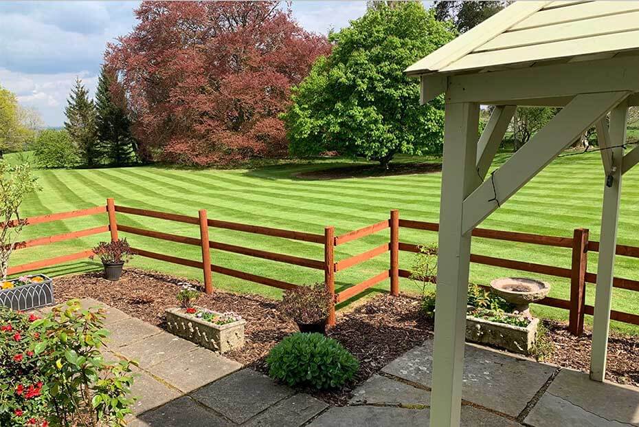 Landscaped garden with striped lawn patterns, a red wooden fence, various shrubs, and a tree with reddish foliage under a blue sky