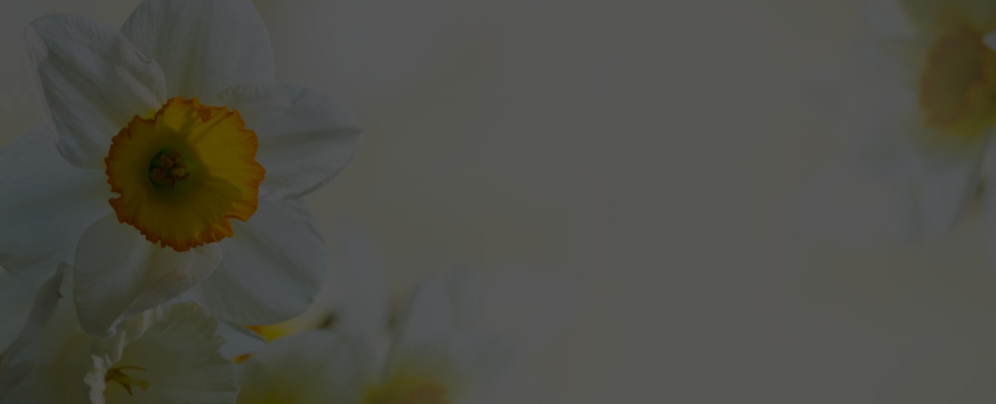 Homepage hero slide.