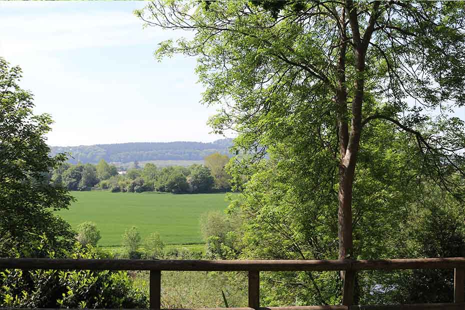 A lush green field with a tree in the foreground and hills in the distance, viewed over a wooden fence